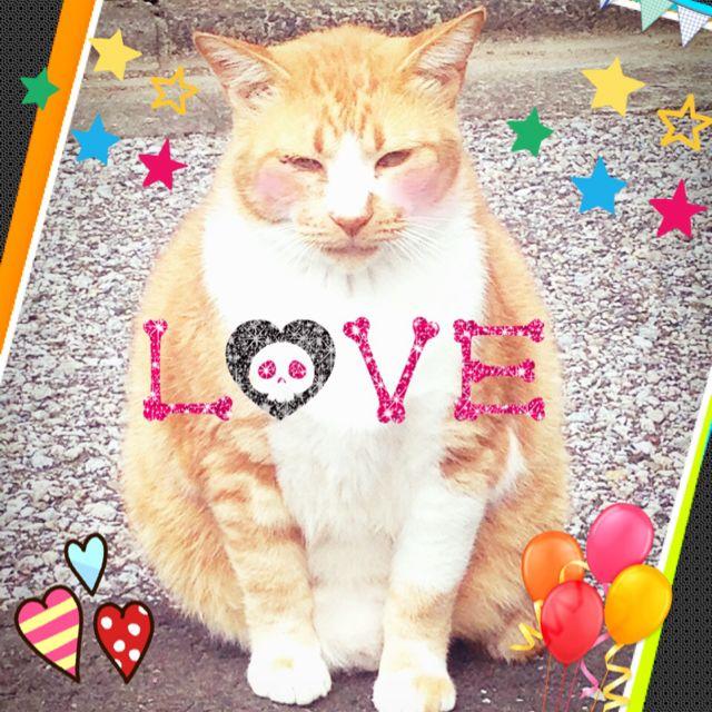 ☆あかぼん☆