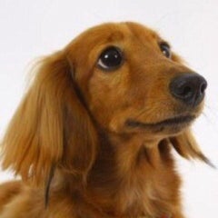 はるもちのプロフィール