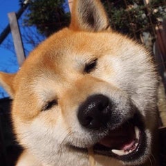 はやとの母のプロフィール