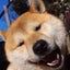 はやとの母のサムネイル
