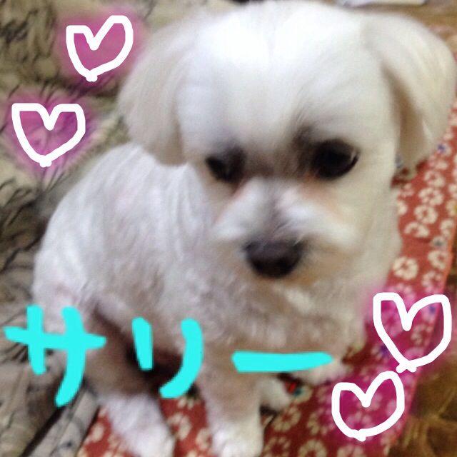 ともちゃん