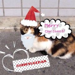 猫物語は白 黒の順番で見たほうがいい 自称社会派エイターの日記 猫物語は白 黒の順番で見たほうがいい 自称社会派エイターの日記