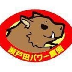 ミスターTのプロフィール