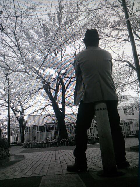 テキサス平野