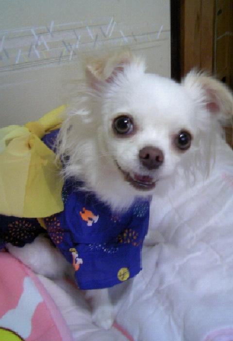 しづちゃん