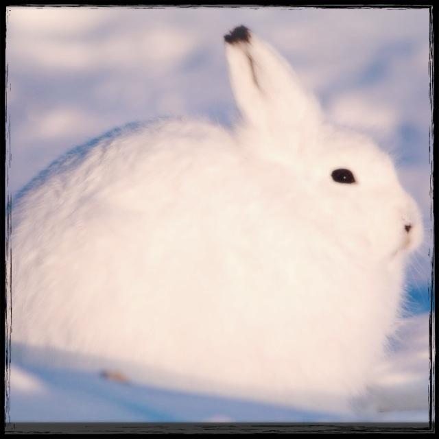 A good man in an evil society seems the greatest villain of all image