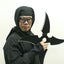 忍者マジシャン　Mr.ニンニンです！のサムネイル