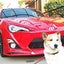 ヤムヤムのサムネイル