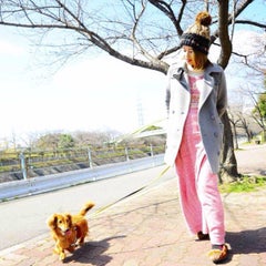ふれあいわんこハウスにて グラウンド ゼロって気分 ふれあいわんこハウスにて グラウンド ゼロって気分