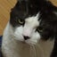 miiのサムネイル