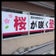桜塾石巻校のブログ