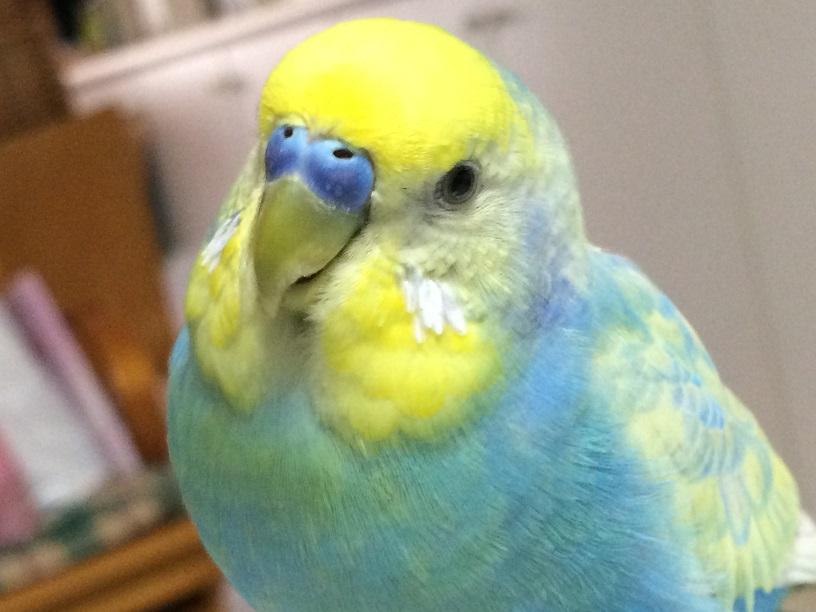 みずいろ