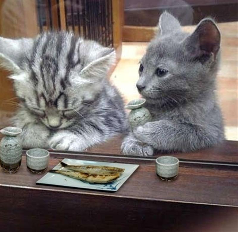 かっつん