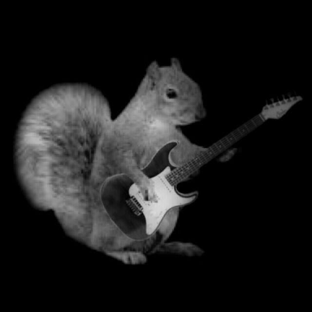 GuiTaRiS 〜ギタリス〜