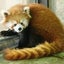 まる。のサムネイル