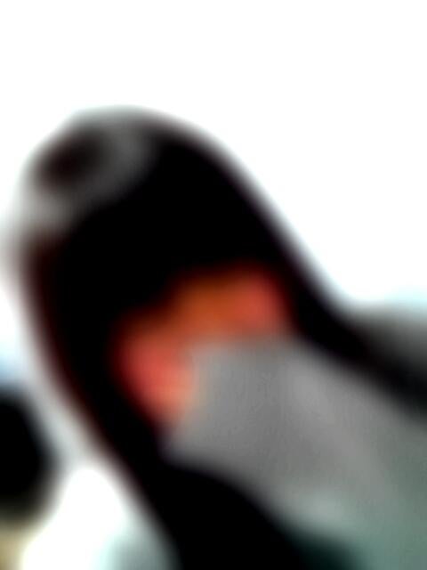 かなぽん