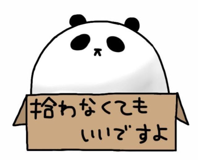 みｰちゃん◎*ﾟ