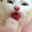 かんちゃのサムネイル