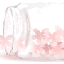 Floraともこのサムネイル
