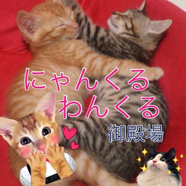 にゃんくるわんくる 御殿場