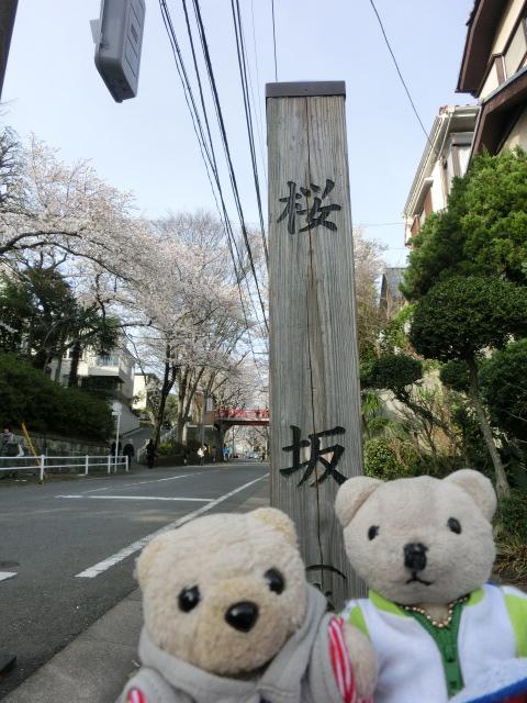 くまろく←（がむばるベアーズ）