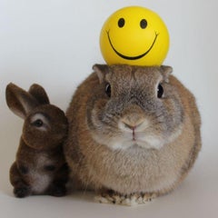 おまつのプロフィール