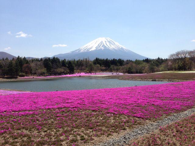 つゆだく大盛り