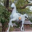 BJ24649のサムネイル