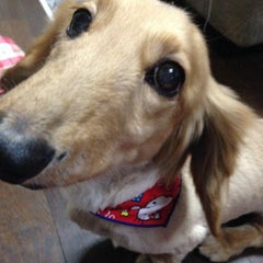 さと☆5296※古い出来事を一気に更新中のプロフィール