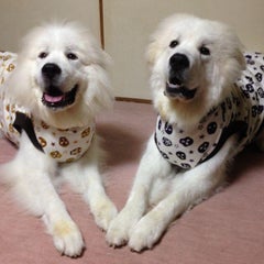 キラ☆ママのプロフィール