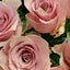 画像 花  千の草   小牧市役所   西  フラワースクールとブライダルフラワーの出来る花屋のユーザープロフィール画像