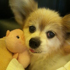 booのプロフィール