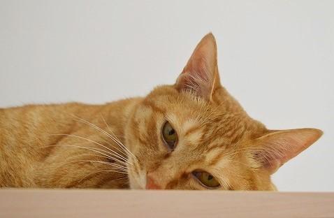 maru