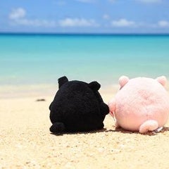 マツコのプロフィール