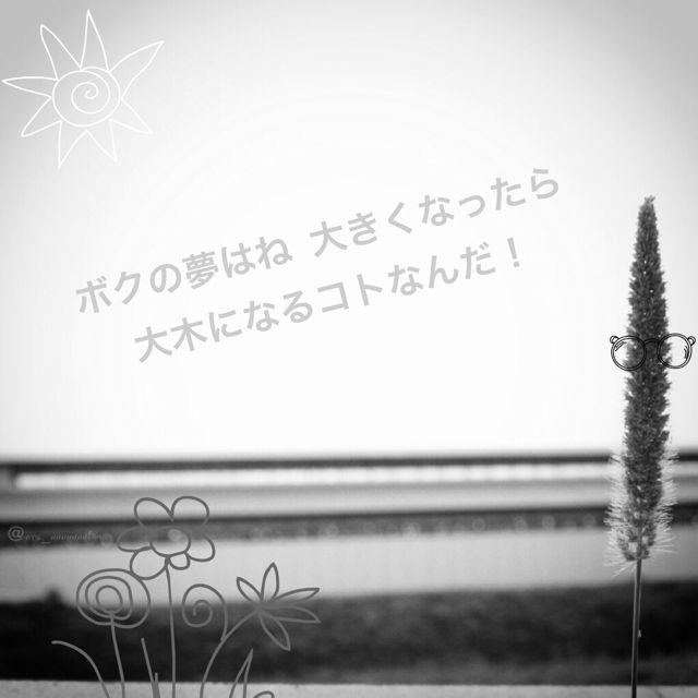 あや