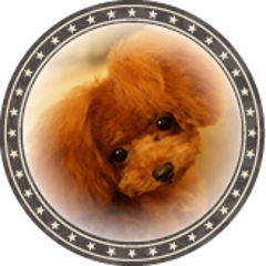 Mizuyohouseのブログ Mizuyohouseのブログ