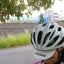 画像 アッコさんの自転車日記のユーザープロフィール画像