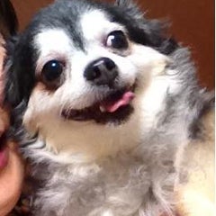 アズサのプロフィール