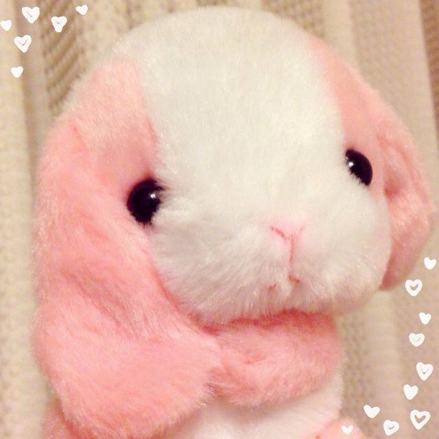 まぐろ