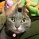幸せの青いにゃんこ