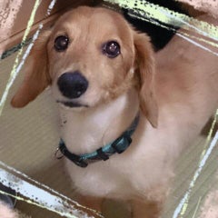 ゆいなのプロフィール