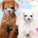 prismオフィシャルブログ「Prism Familla」Powered by Ameba