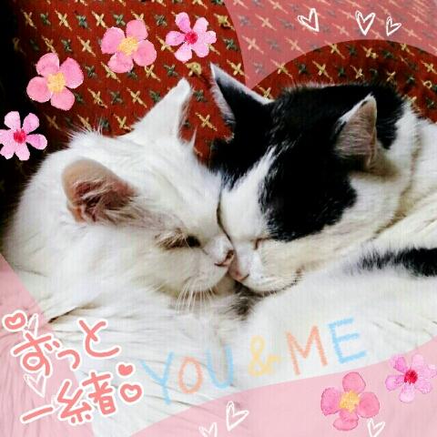 びった