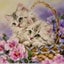 しろねこのサムネイル