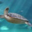 helloのサムネイル