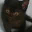 きぃ母さんのサムネイル