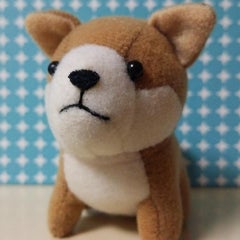 LoveJohnJohnのプロフィール