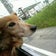 アラサーのつぶやき。