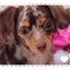 Sakiko Yamamotoのサムネイル