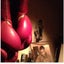 画像 マーシャルアーツカフェ&アジアンカリー犬拳堂のユーザープロフィール画像